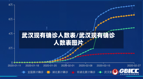武汉现有确诊人数表/武汉现有确诊人数表图片-第2张图片