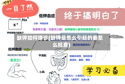 缺钾如何确诊(缺钾是怎么引起的要怎么检查)-第2张图片