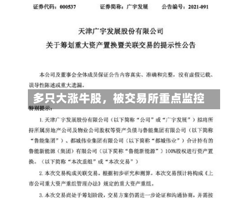 多只大涨牛股，被交易所重点监控-第2张图片