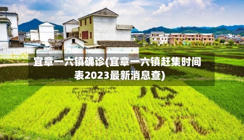 宜章一六镇确诊(宜章一六镇赶集时间表2023最新消息查)