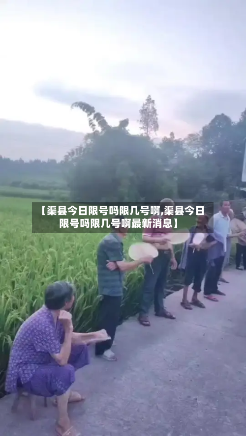 【渠县今日限号吗限几号啊,渠县今日限号吗限几号啊最新消息】-第2张图片