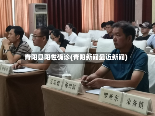 青阳县阳性确诊(青阳新闻最近新闻)-第2张图片