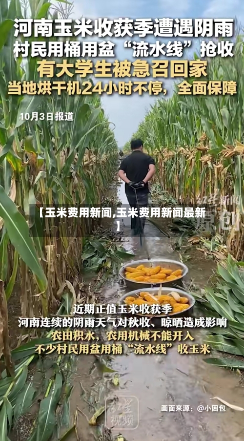 【玉米费用新闻,玉米费用新闻最新】-第2张图片