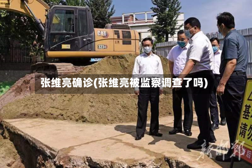 张维亮确诊(张维亮被监察调查了吗)-第2张图片
