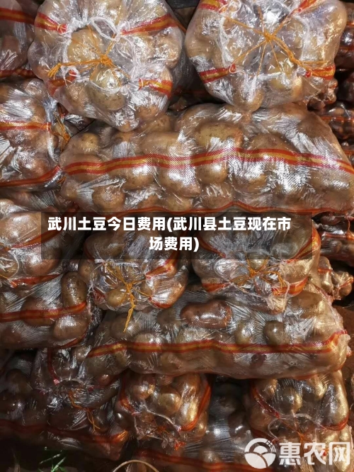 武川土豆今日费用(武川县土豆现在市场费用)