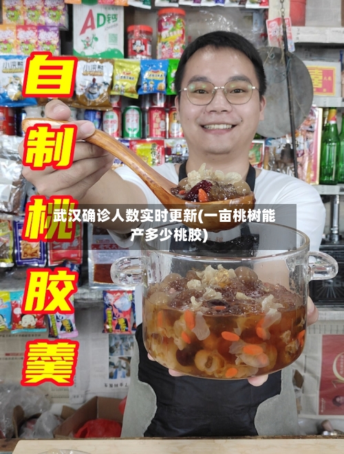 武汉确诊人数实时更新(一亩桃树能产多少桃胶)