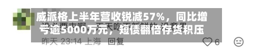 威派格上半年营收锐减57%	，同比增亏逾5000万元，短债翻倍存货积压风险暗涌-第1张图片