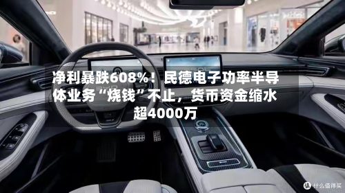 净利暴跌608%！民德电子功率半导体业务“烧钱”不止	，货币资金缩水超4000万-第2张图片