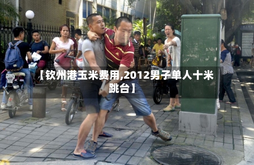 【钦州港玉米费用,2012男子单人十米跳台】-第2张图片