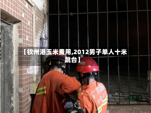 【钦州港玉米费用,2012男子单人十米跳台】