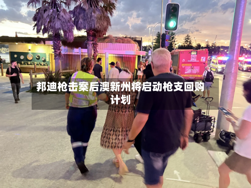 邦迪枪击案后澳新州将启动枪支回购计划