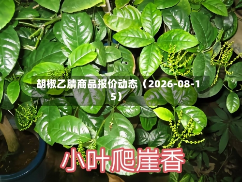胡椒乙腈商品报价动态（2026-08-15）-第1张图片