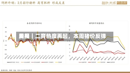 费用周报｜二育热度再起，本周猪价反弹