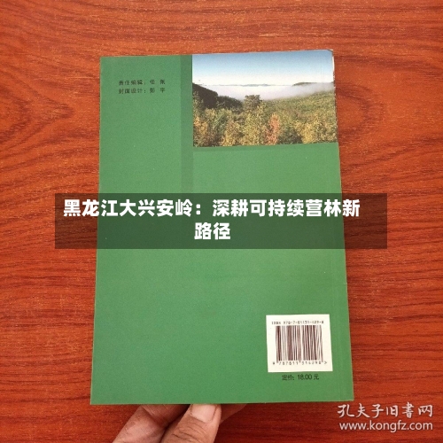 黑龙江大兴安岭：深耕可持续营林新路径