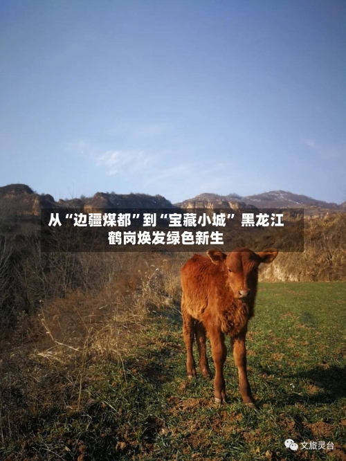 从“边疆煤都”到“宝藏小城” 黑龙江鹤岗焕发绿色新生-第2张图片