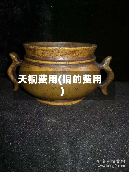 天铜费用(铜的费用)