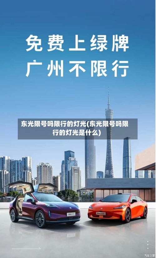 东光限号吗限行的灯光(东光限号吗限行的灯光是什么)