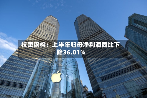 杭萧钢构：上半年归母净利润同比下降36.01%-第2张图片
