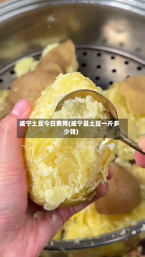 威宁土豆今日费用(威宁县土豆一斤多少钱)