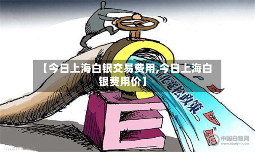 【今日上海白银交易费用,今日上海白银费用价】