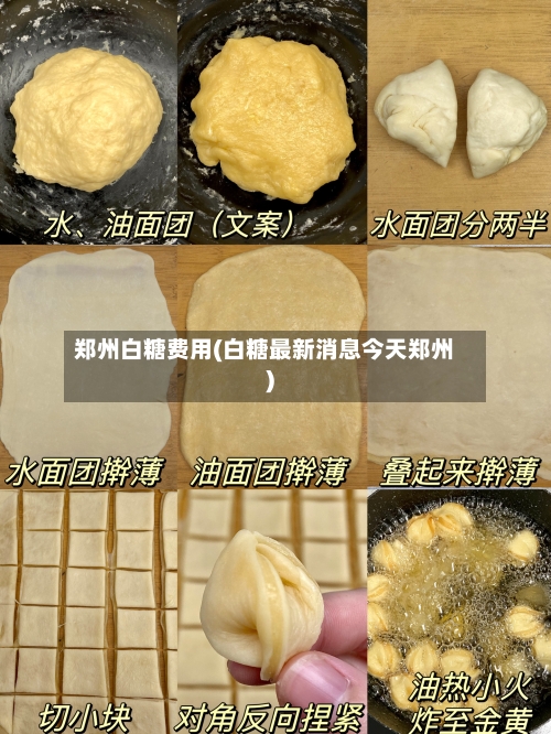 郑州白糖费用(白糖最新消息今天郑州)