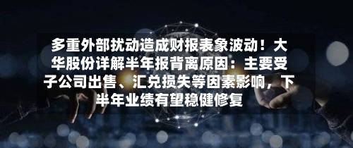 多重外部扰动造成财报表象波动！大华股份详解半年报背离原因：主要受子公司出售	、汇兑损失等因素影响，下半年业绩有望稳健修复-第1张图片