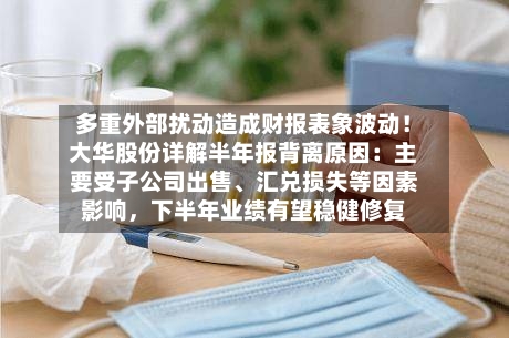 多重外部扰动造成财报表象波动！大华股份详解半年报背离原因：主要受子公司出售、汇兑损失等因素影响，下半年业绩有望稳健修复-第2张图片