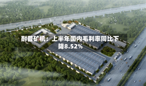 耐普矿机：上半年国内毛利率同比下降8.52%-第1张图片