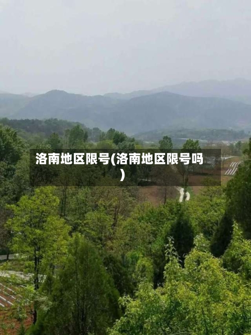 洛南地区限号(洛南地区限号吗)