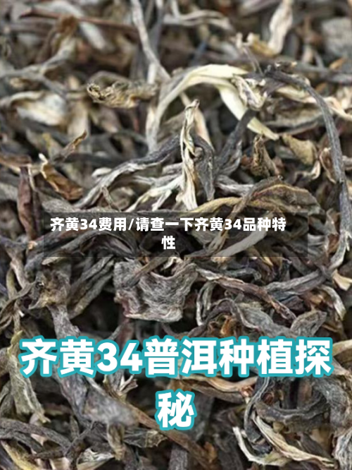 齐黄34费用/请查一下齐黄34品种特性-第2张图片