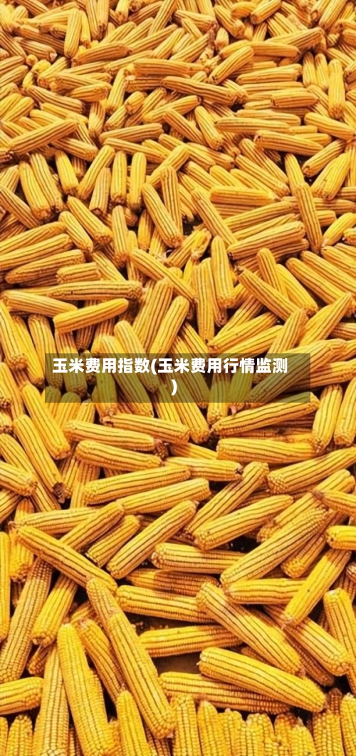 玉米费用指数(玉米费用行情监测)-第3张图片