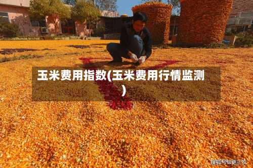 玉米费用指数(玉米费用行情监测)-第2张图片
