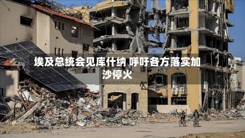埃及总统会见库什纳 呼吁各方落实加沙停火