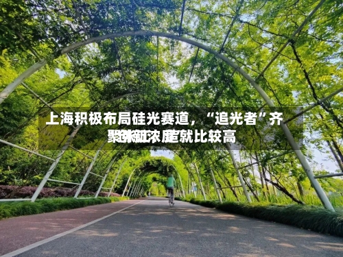 上海积极布局硅光赛道，“追光者”齐聚张江	，造就比较高“创新浓度”-第2张图片