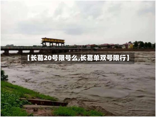 【长葛20号限号么,长葛单双号限行】-第2张图片