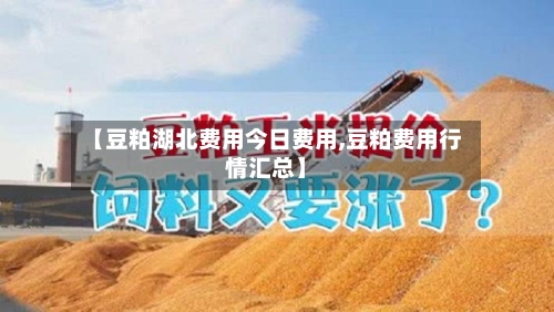 【豆粕湖北费用今日费用,豆粕费用行情汇总】-第3张图片