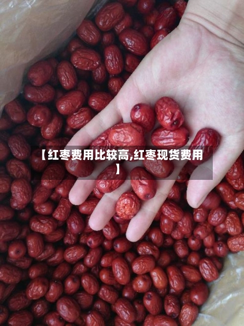 【红枣费用比较高,红枣现货费用】-第2张图片