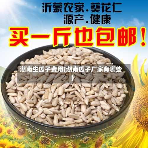 湖南生瓜子费用(湖南瓜子厂家有哪些)-第2张图片