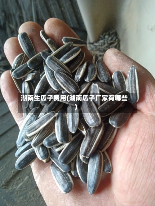 湖南生瓜子费用(湖南瓜子厂家有哪些)