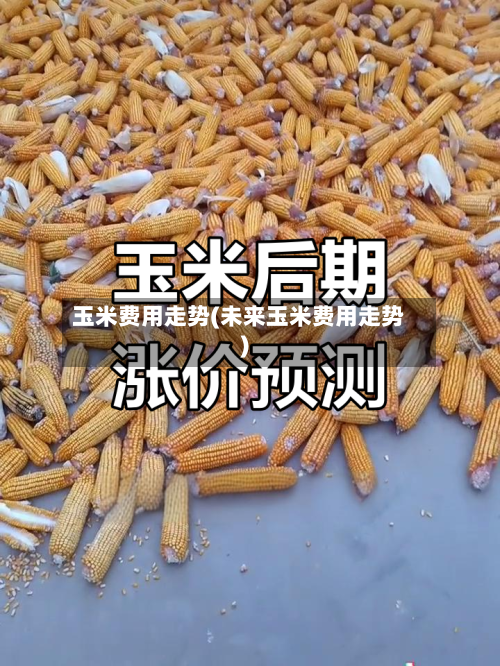 玉米费用走势(未来玉米费用走势)