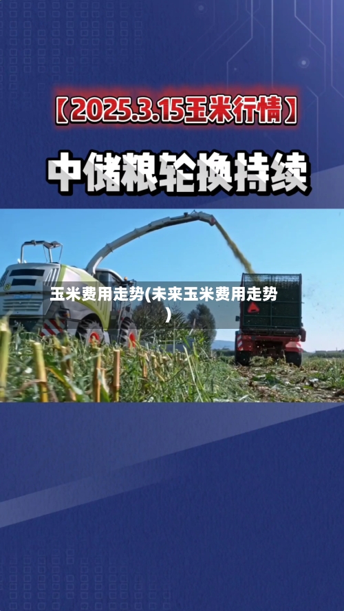 玉米费用走势(未来玉米费用走势)-第3张图片
