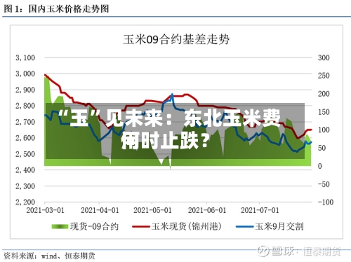“玉	”见未来：东北玉米费用何时止跌？-第1张图片