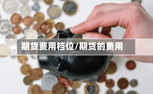期货费用档位/期货的费用-第2张图片