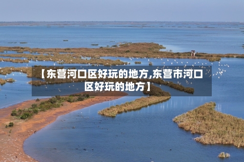 【东营河口区好玩的地方,东营市河口区好玩的地方】-第2张图片