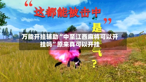 万能开挂辅助“中至江西麻将可以开挂吗”原来真可以开挂-第2张图片