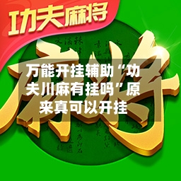万能开挂辅助“功夫川麻有挂吗	”原来真可以开挂-第2张图片