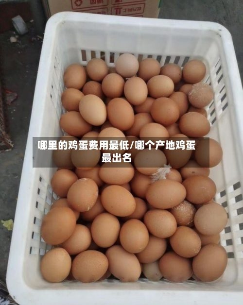哪里的鸡蛋费用最低/哪个产地鸡蛋最出名-第2张图片