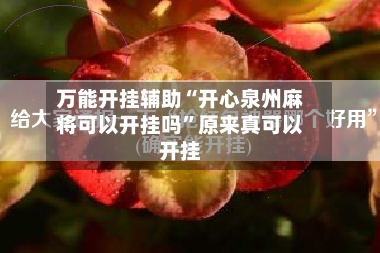 万能开挂辅助“开心泉州麻将可以开挂吗”原来真可以开挂-第2张图片