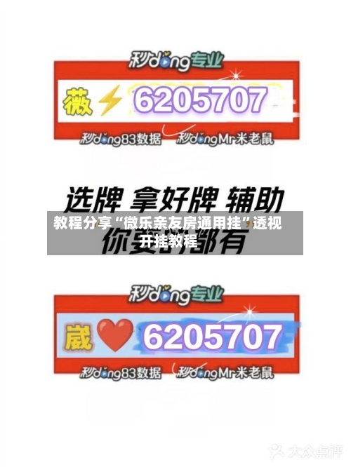 教程分享“微乐亲友房通用挂”透视开挂教程-第1张图片