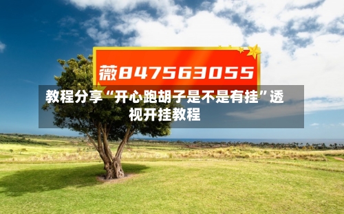 教程分享“开心跑胡子是不是有挂”透视开挂教程-第2张图片